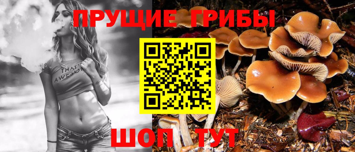 Галлюциногенные грибы Magic Shrooms  Вход с VPN  Ефремов  Галлюциногенные грибы Magic Shrooms 